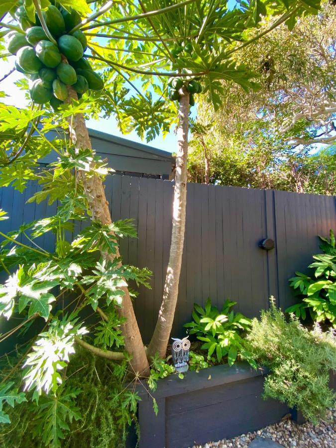 Ferienwohnung The Mitchell Bondi Garden 4 Sydney Exterior foto